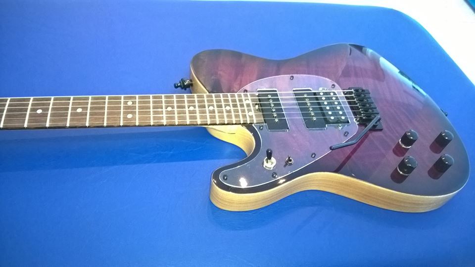 14720567_722323401253621_466875287213227