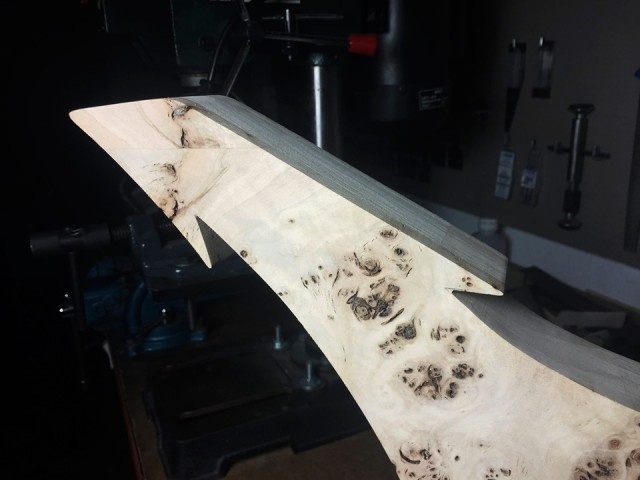 59465321-1303010713237036-19822347984662