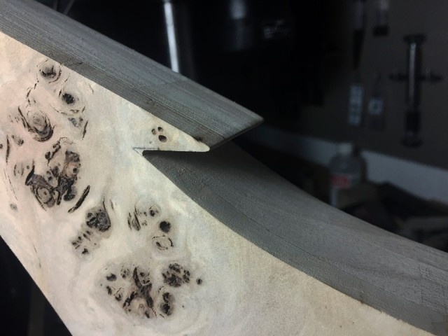 59541166-1303010759903698-66732631565019